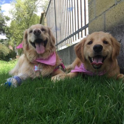 Allucia76's profile picture. ❤️