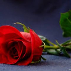 kaitlynnfarias3's profile picture. 