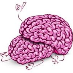 Sexplicit Brain