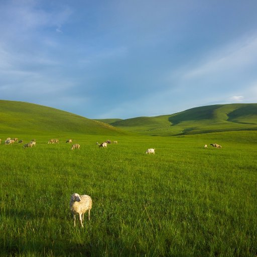 “Un monde sans guerre est un monde sans humain.” #MichaëlAdam