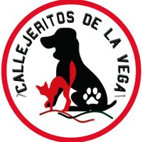CallejeritosDeLaVega (@callejeritosdlv) 's Twitter Profile Photo CallejeritosDeLaVega (@callejeritosdlv) 's Twitter Profile Photo