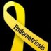 EndometriosisNigeria (@endosurvivors) Twitter profile photo EndometriosisNigeria (@endosurvivors) Twitter profile photo