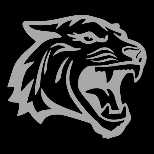 Offizieller Twitter Account der Bayreuth Tigers / DEL2 Team.