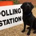 Dogs@PollingStations (@DogsAtPollingS) Twitter profile photo
