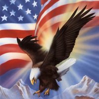 America is back!(@nancylee2016) 's Twitter Profile Photo