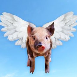 Nimrud5's profile picture. 