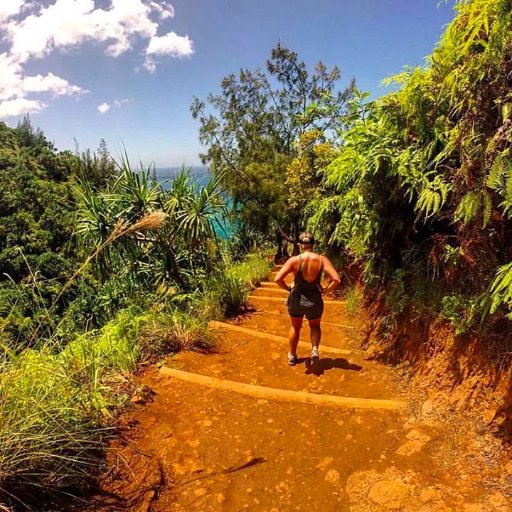 leedingtheway's profile picture. #luckyweliveHawaii