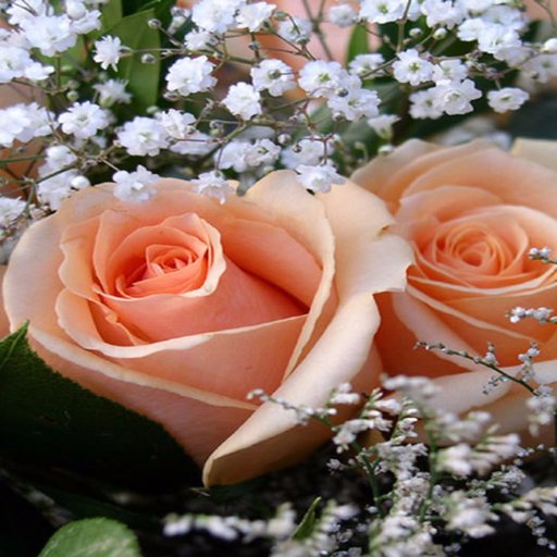 Sharar's Florist provides flower and gift delivery to the La Habra, CA area. Send flowers for any occasion. We offer a large variety of fresh flowers and gifts.