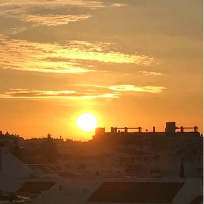 sandybully's profile picture. 