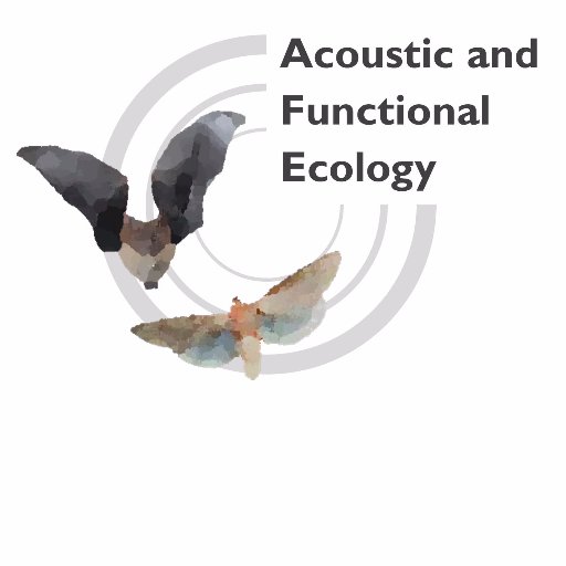 Tweets of the Acoustic and Functional Ecology Group, MPI for Ornithology Seewiesen. Listen in for bats, moths, cameras & mics, by @batsmoths & @BeleyurThejasvi