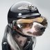 Tinu (@biker_tinu) Twitter profile photo Tinu (@biker_tinu) Twitter profile photo