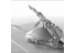 ebusinesscenter's profile image