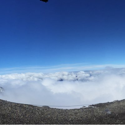 amoyard's profile picture. 