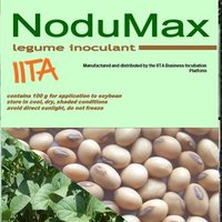 Nodumax (@nodumax) 's Twitter Profile