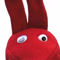 Conejo Rojo (@elconejorojo) 's Twitter Profile Photo Conejo Rojo (@elconejorojo) 's Twitter Profile Photo