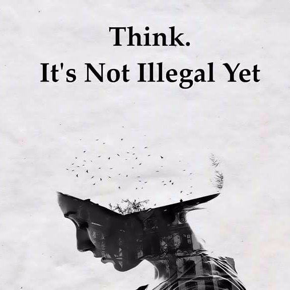 inquis_ranting's profile picture. Political blogger