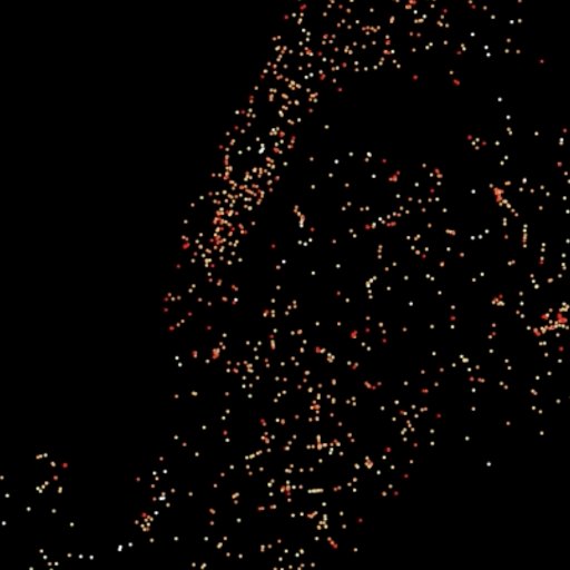 realtimebus's profile picture. Timelapse videos of the last hour of  New York's buses. bot by @fitnr