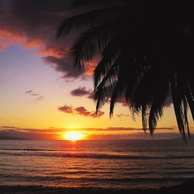 dresmscometrue's profile picture. I live to take adventures