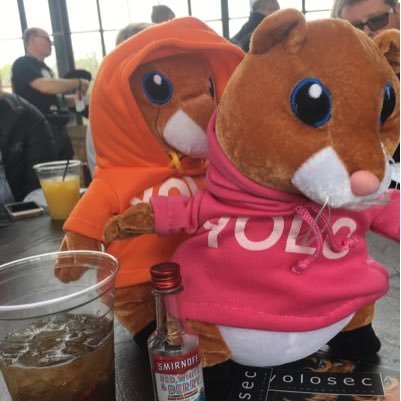 SecYOLOBearPink's profile picture. The #YoloSec face for #WomenInTech