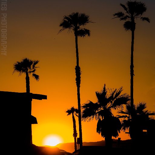 Photographer in and around the Beach Cities, California. #LiveMusic #YouthSports #Surfing #BeachSports #Beach #Photography