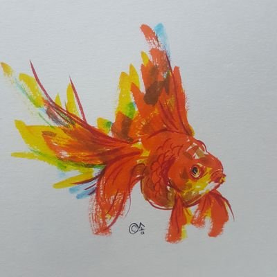 꽃가람さんのプロフィール画像