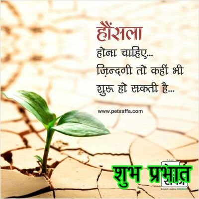 harendrashamli's profile picture. 