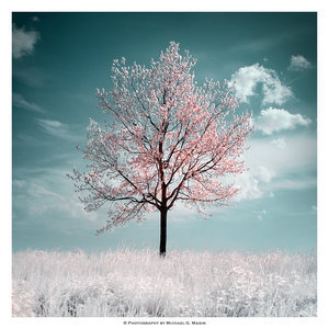 FridaysChildJ's profile picture. 