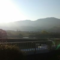 橡実 (@sho_jitsu) 's Twitter Profile Photo 橡実 (@sho_jitsu) 's Twitter Profile Photo