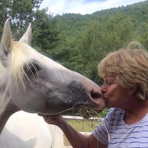 VT based 501(C)3 non profit, committed 2 rescuing, rehabilitating & rehoming slaughter bound & at risk horses. (802) 874-7213
EIN # 59-3800477