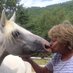 GerdasEquineRescue (@GerdasEquineRes) Twitter profile photo