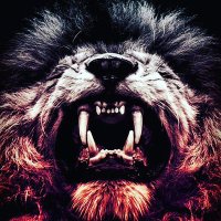 حمود الهاملي (@hmwdylhmly) 's Twitter Profile