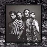 Palomino Party (@palomino_party) 's Twitter Profile