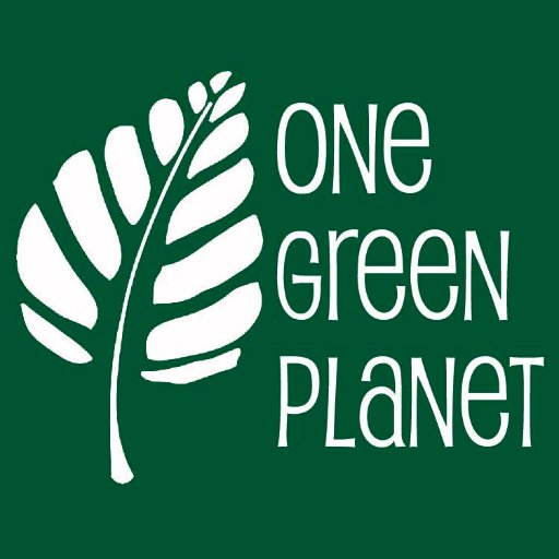 One Green Planet is your online guide to making conscious choices for people, animals & the planet.