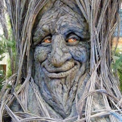 savetrees123's profile picture. 