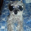 irene gatica - @maxiliana1020 - Twitter