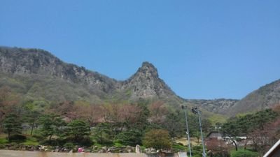 LuzDisney772772's profile picture. 