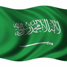 اكاديمية. قسم علوم صحة المجتمع كلية العلوم الطبية التطبيقية جامعة الملك سعود / المدير التنفيذي لجمعية حماية الملكية الفكرية .