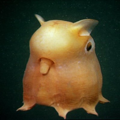 AASingleton7's profile picture. sluggish, lazy, stupid, and unconcerned