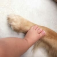 magaosito's profile picture. SIEMPRE LA FE POR ENCIMA DE TODO