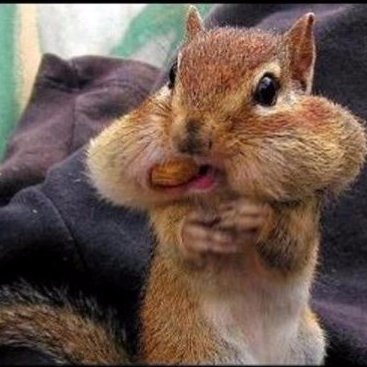 drbr1dge's profile picture. 