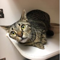 PB Animal Control (@pbanimalcontrol) 's Twitter Profile