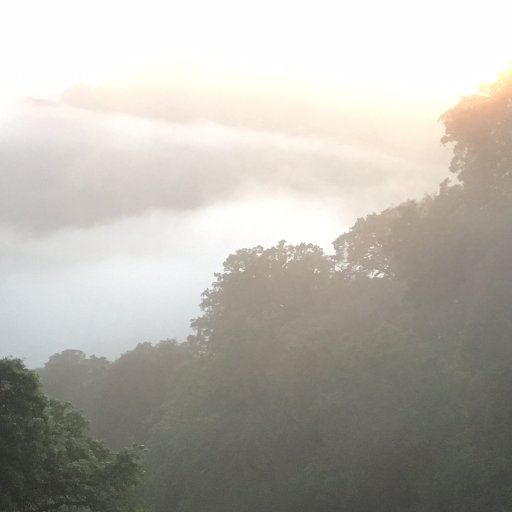 Graphic designer enjoys beautiful nature in California's North San Francisco Bay Area. Growing creatively and spiritually every day. Southwest of Lake Berryessa