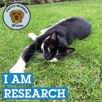Dr. Carole Burnett (@stewieandmilou) 's Twitter Profile Photo Dr. Carole Burnett (@stewieandmilou) 's Twitter Profile Photo