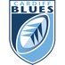 BluesCup (@bluescup) Twitter profile photo BluesCup (@bluescup) Twitter profile photo