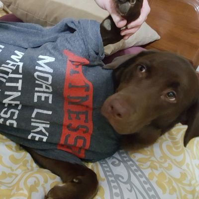 JayGontz23's profile picture. 