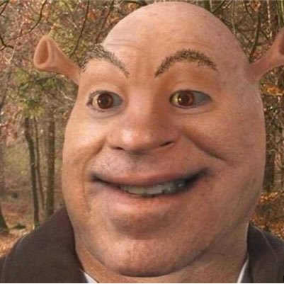 SMTMYC_tweets's profile picture. https://t.co/OM5ZFjTE4o twitter meme page is much harder to run than an Instagram one imo