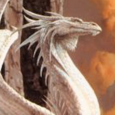 Legends tell of a shimmering dragon of light that protects what's left of a long gone city. But could there be truth to this ancient tale? #TheVortexRP