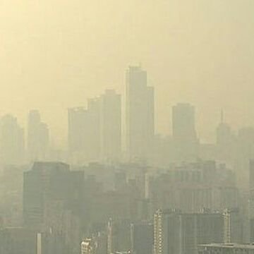 Profile Picture of Korea Fine Dust (@_plant_trees) on Twitter
