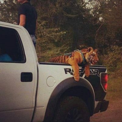 MiNumer52911286's profile picture. 