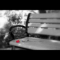 مبادل الاردن (@abood600077101) Twitter profile photo